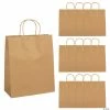 Deals 💯 10 1/2" x 5 1/4" x 13" Large Brown Kraft Paper Gift Bags - 12 Pc. ⌛
