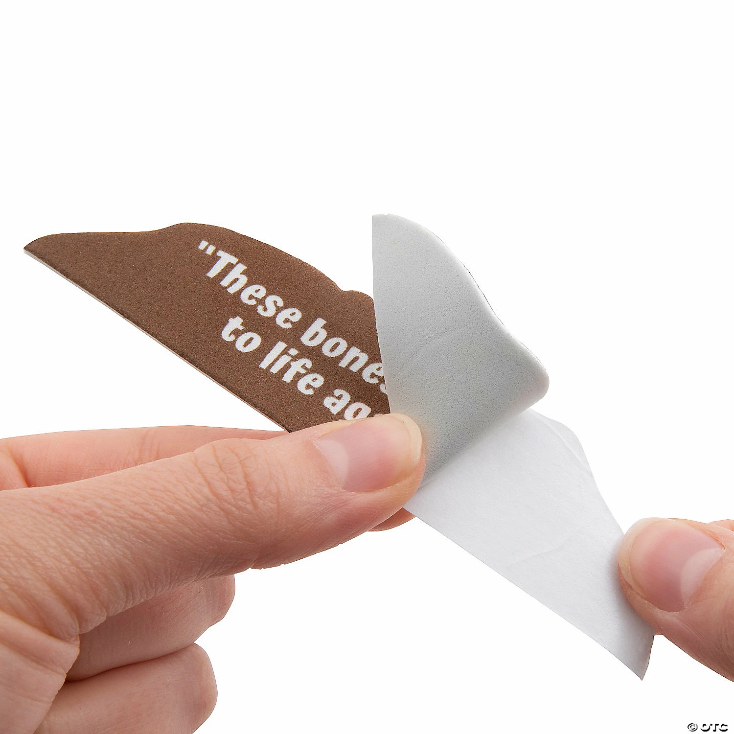 Brand new π Religious These Bones Will Live Again Sign Craft Kit - Makes 12 π― 4 Brand new π Religious These Bones Will Live Again Sign Craft Kit - Makes 12 π― - Image 3